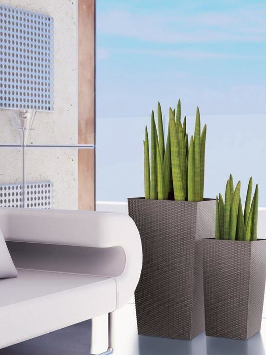 Prosperplast Vaze Pentru Plante Rattan Maro 22.5x22.5x42.1cm 2 Bucăți