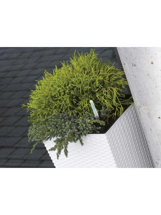 Prosperplast Ghiveci Rattan Alb 32x32x32.5εκ.