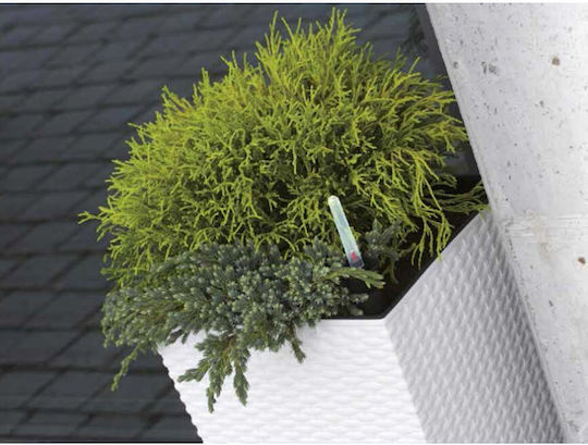 Prosperplast Ghiveci Rattan Alb Prosperplast Ghiveci Rattan Alb