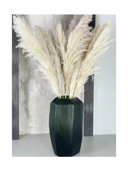 Fler Αποξηραμένο Φυτό Pampas Grass Carmen Fluffy Φυσικό Μπεζ 110-115cm Άνθος 55-65cm