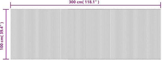 vidaXL Αντιολισθητικό Χαλί Ορθογώνιο Καφέ 100x300cm