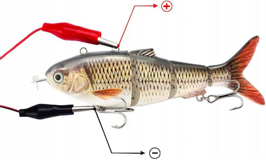 Electric Żywiec Fishing Lure Pike 04
