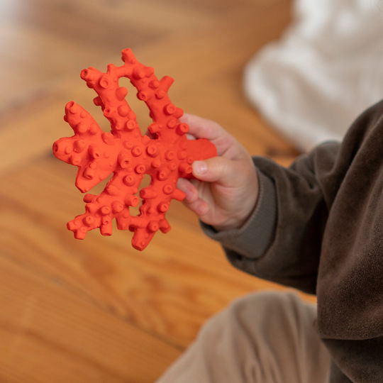 Lanco Natural Rubber Coral Teething Bath Toy