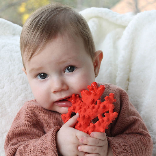 Lanco Natural Rubber Coral Teething Bath Toy