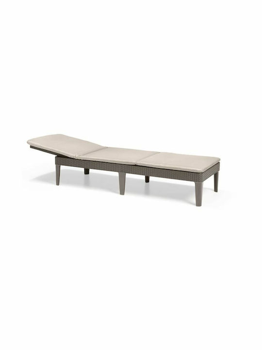Șezlong Plastic cu Pernă Maro 187x58x29cm