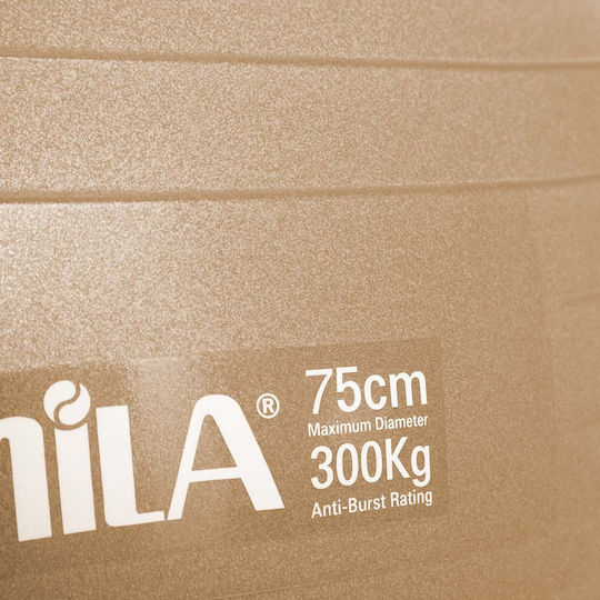 Amila Gymball 75cm Gold Bulk Fitness Ball