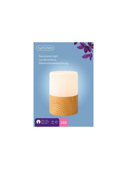 Kaemingk Διακοσμητικό Φωτιστικό LED Θερμό Λευκό 15x15x21εκ.