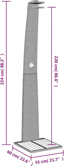 vidaXL Pool Shower Made of Natural Wood 224x60x55cm Black