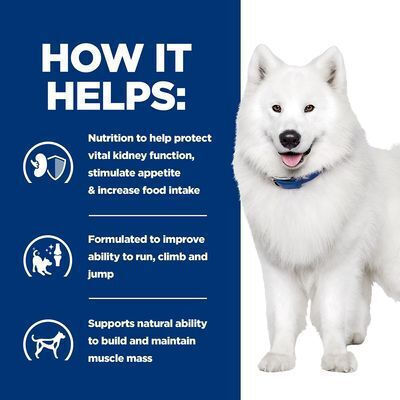 Hill's Prescription Diet Kidney Care K/D 12kg Dry Food for Dogs Gluten-Free with Meat