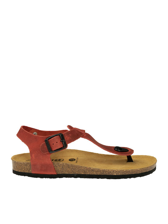 Bali Leather Women's Flat Sandals Anatomic with Strap in Red Color