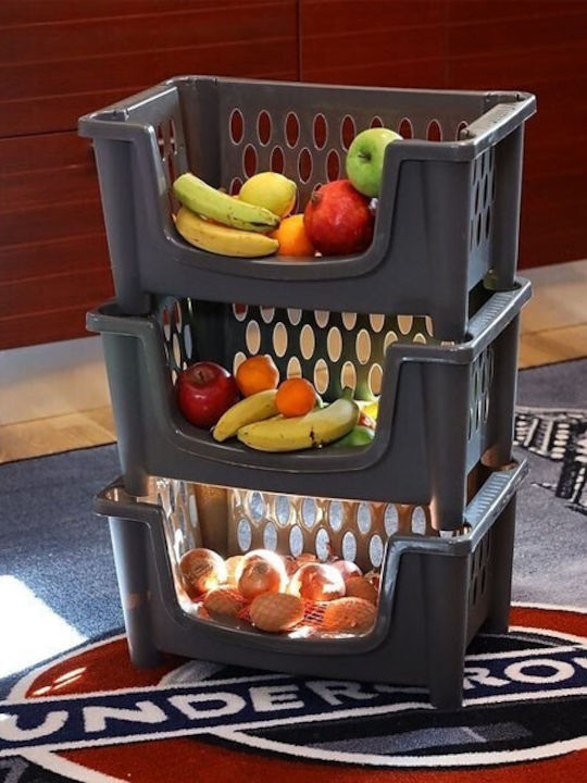 Homeplast Carina Кошница за съхранение Пластмаса Grey 49x34x25см 1бр