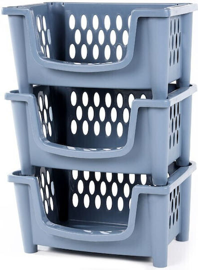Homeplast Carina Кошница за съхранение Пластмаса Blue 49x34x25см 1бр