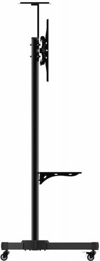 Serioux Βάση Τηλεόρασης Τοίχου έως 70" και 50kg Μαύρο