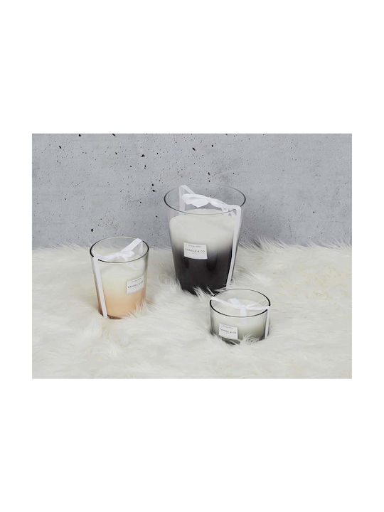 Aromatic Candle Harmony Home Deco Factory Burning Time 120 Hours Scent Amber Dimensions 18.7x23.3cm Bo5447