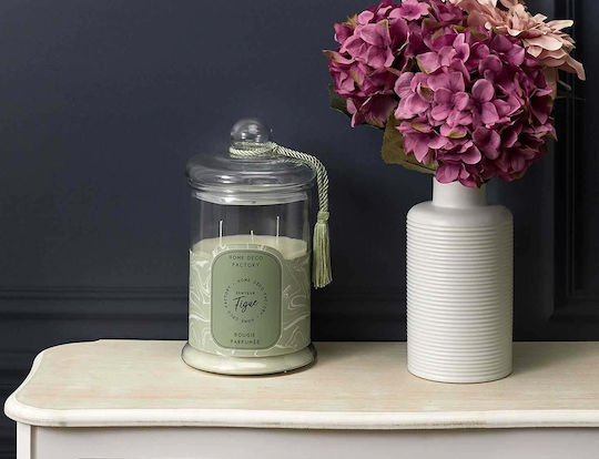 Scented Candle Home Deco Factory Burning Time 110 Hours Fragrance Figue Dimensions 15.8x29cm Bo5580