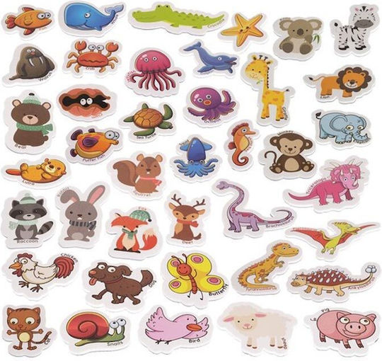 Kruzzel Set of Magnets 14cm 40pcs