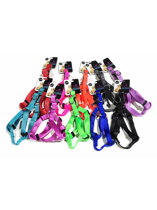 Pet Camelot Ρυθμιζόμενο Σαμαράκι Μπλε Small 30-50cmx16mm Pet Camelot Ρυθμιζόμενο Σαμαράκι Μπλε Small 30-50cmx16mm