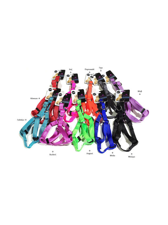Pet Camelot Adjustable Harness Orange 50-70cm