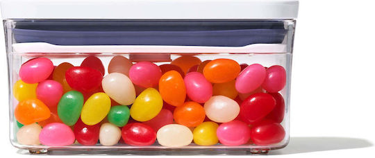OXO General Use Box with Airtight Lid Plastic Transparent 600ml