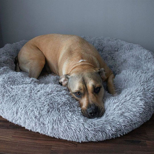 Soft Bed Dog Cat Springos Gray 110 Cm