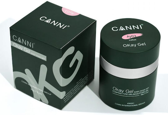 Canni Okay Bauherren-Gel Falsche Nagelgel Clear N1 30gr