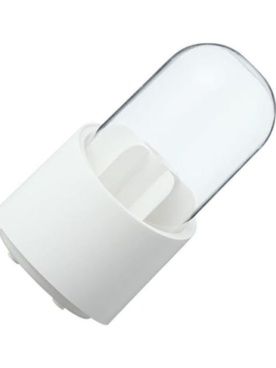 Cosmetics Organization Box With White Dividers