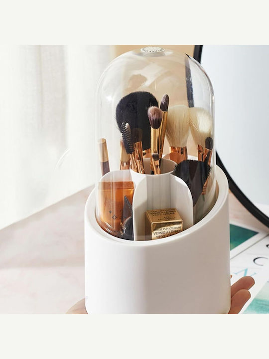 Cosmetics Organization Box With White Dividers