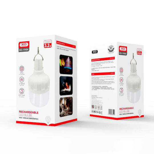 XO LED in White Color 1184