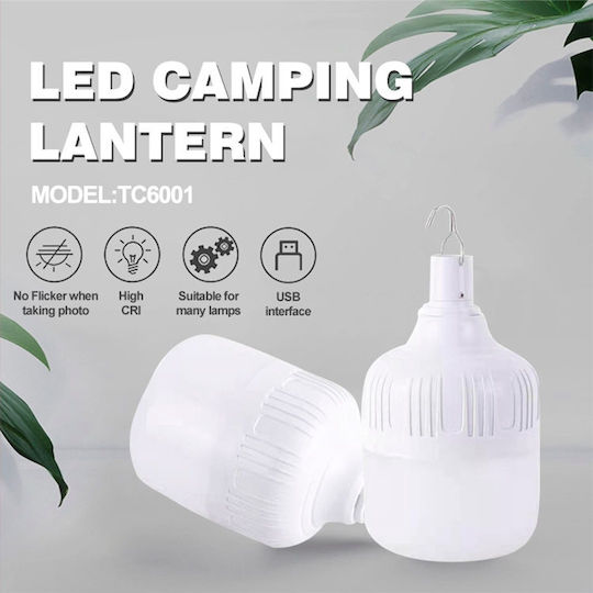 XO LED in White Color 1184