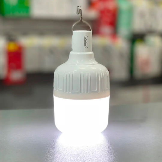XO LED in White Color 1184