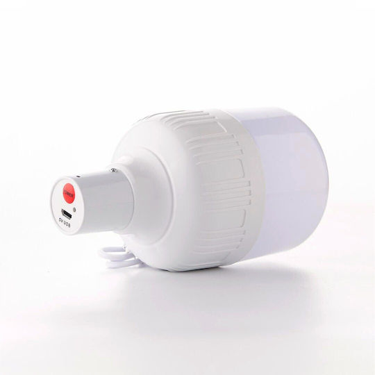 XO LED in White Color 1184