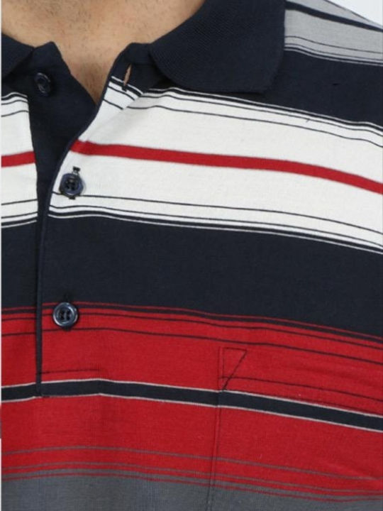 Color Colucci Color Colucci