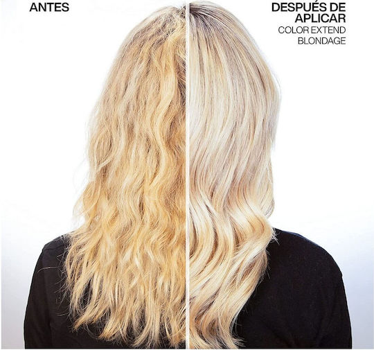 Redken Color Extend Blondage Conditioner Color Maintenance for Coloured Hair 300ml