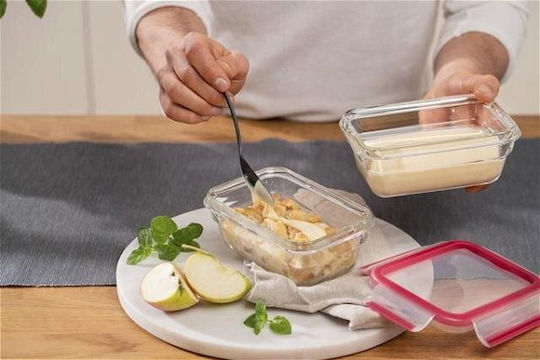 Tefal Microwave Glass Lunch Box Masterseal Red 450ml