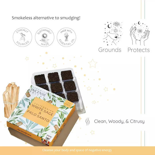 Gift Set Smudge White Sage Καυστήρας Θυμιαμάτων Tree Life + 12 Κύβοι Θυμιάματος