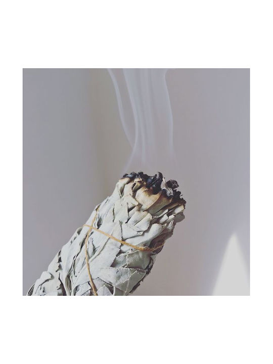 White Sage Eucalyptus Smudge Stick 10χ3cm Σετ 3 Ραβδιά Θυμιάματος