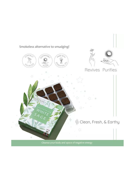 Gift Set Smudge White Sage Καυστήρας Θυμιαμάτων Tree Life + 12 Κύβοι Θυμιάματος