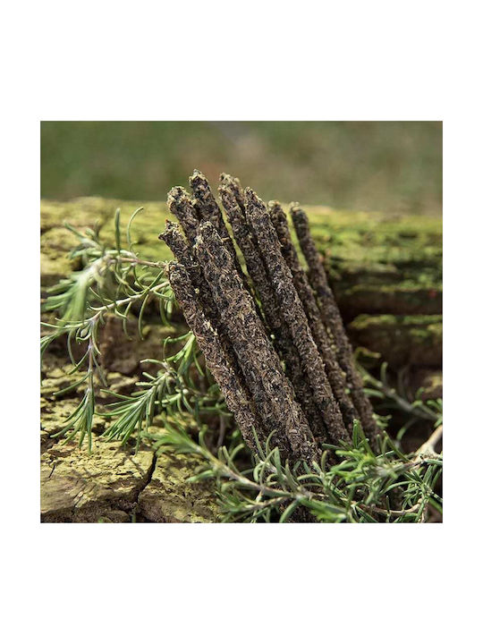 Θυμίαμα Απήγανο Δεντρολίβανο Λιβάνι Sagrada Madre Premium Incense 8τμχ