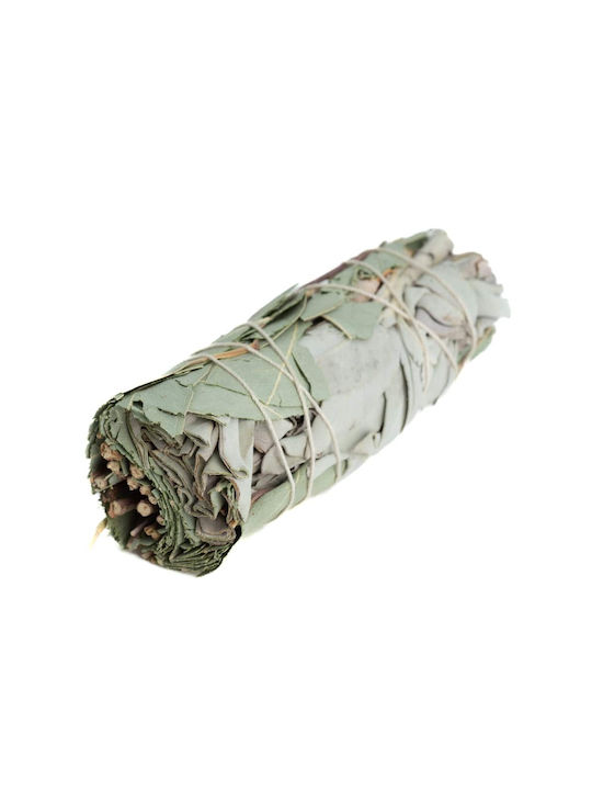 White Sage Eucalyptus Smudge Stick 10χ3cm Σετ 3 Ραβδιά Θυμιάματος