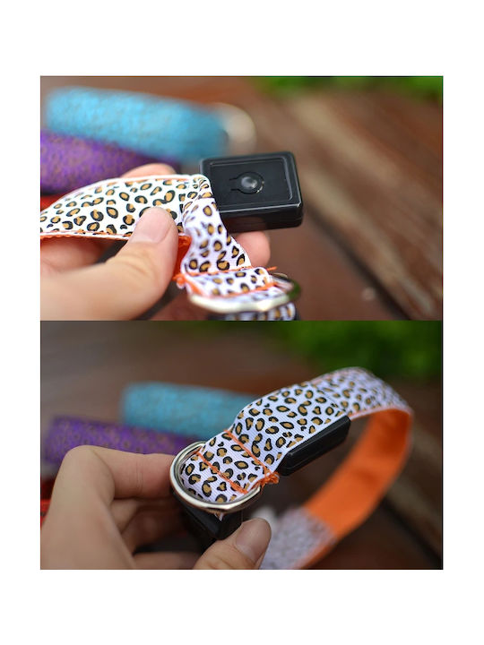 Dog Collar in Orange color Large 58cm