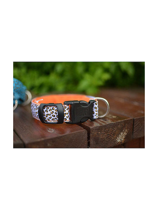 Dog Collar in Orange color Large 58cm
