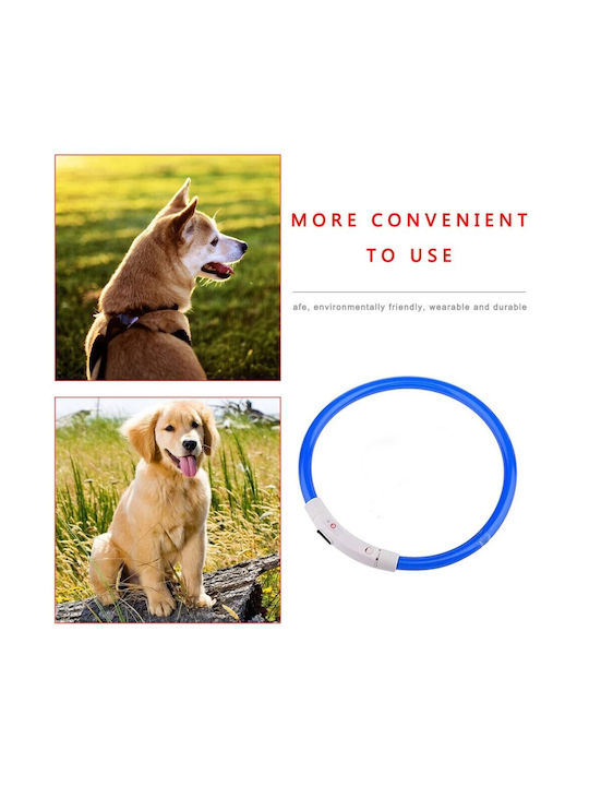 Hundehalsband aus in Blau Farbe 55cm