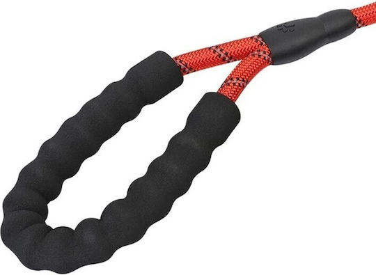 Hundeleine/Führleine Schulung Riemen in Rot Farbe