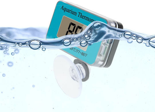 Digital Thermometer