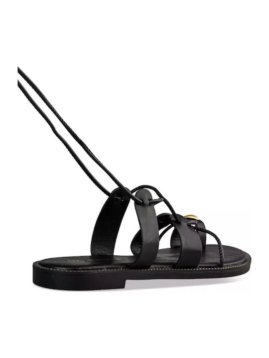 Envie Shoes