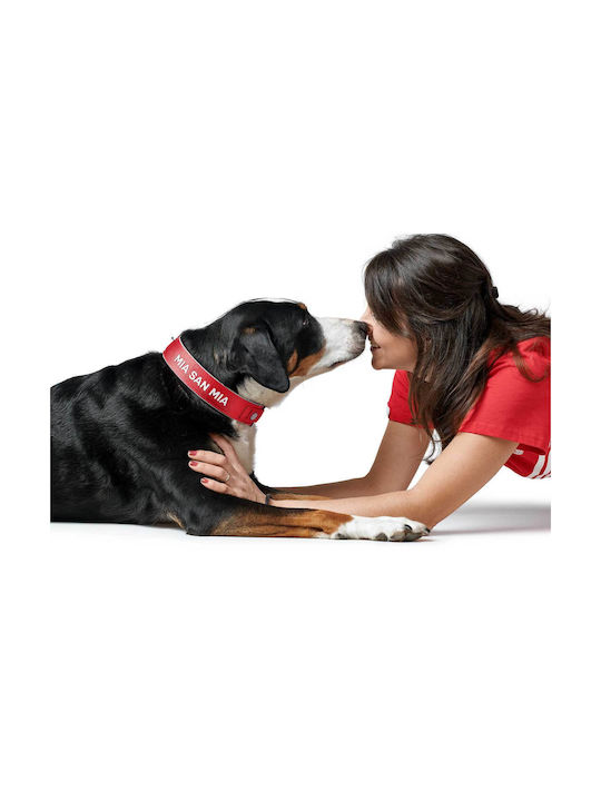 Hunter Reflect Dog Collar in Red color