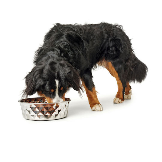 Hunter Silicone Food and Water Bowl for Dog and Cat 350ml