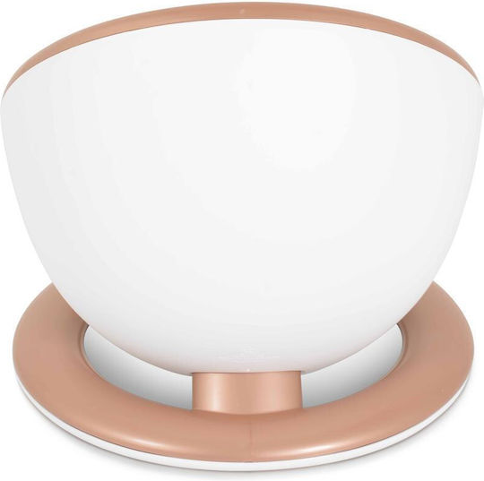 Cangaroo Töpfchen Toilette Apollo Rosa