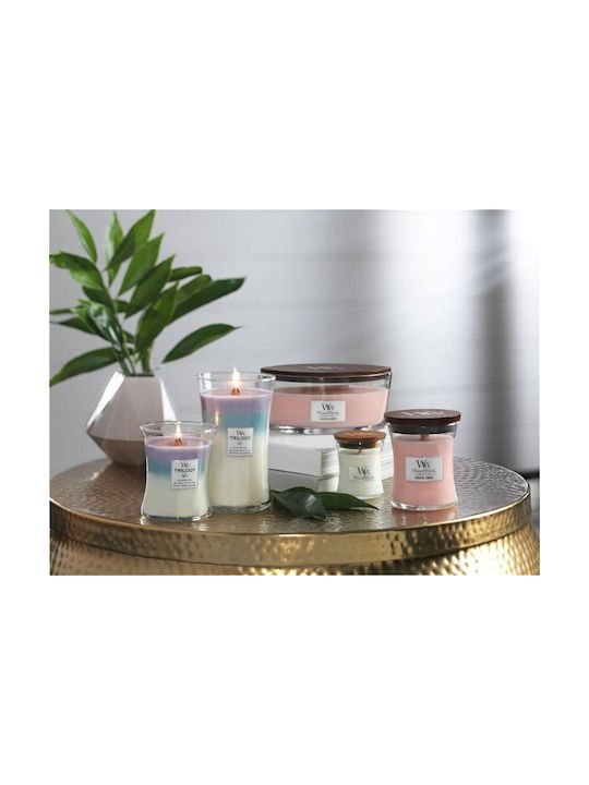 WoodWick Scented Candle Jar with Scent Sun Ripened Berries Purple 609gr 1pcs