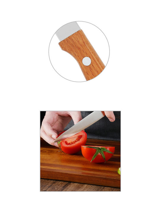 Tpster Knife General Use from Stainless Steel 22cm